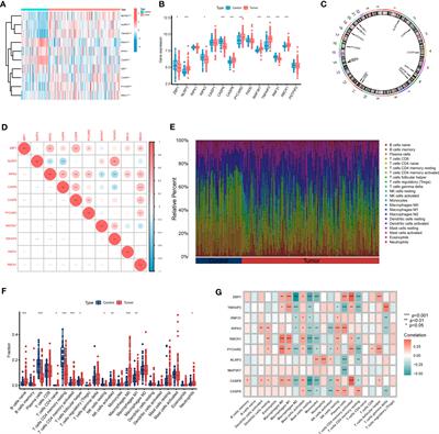 Expression patterns and immunological characterization of PANoptosis -related genes in gastric cancer